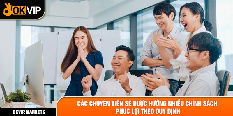 Các chuyên viên sẽ được hưởng nhiều chính sách phúc lợi theo quy định