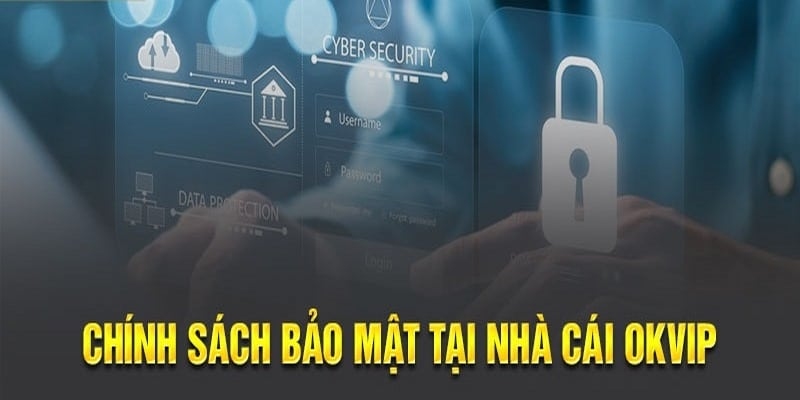 Chi tiết về chính sách bảo mật tại liên minh nhà cái