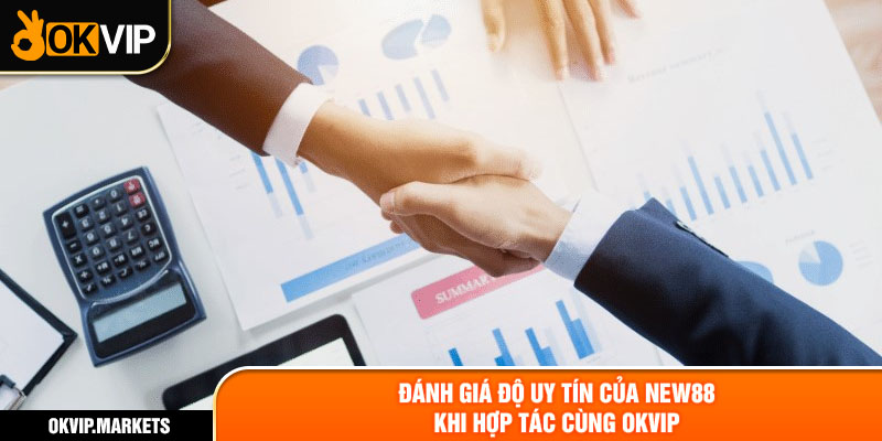 Đánh giá độ uy tín của NEW88 khi hợp tác cùng OKVIP