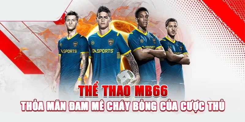 Cá độ bùng nổ tại các sảnh đấu Thể Thao