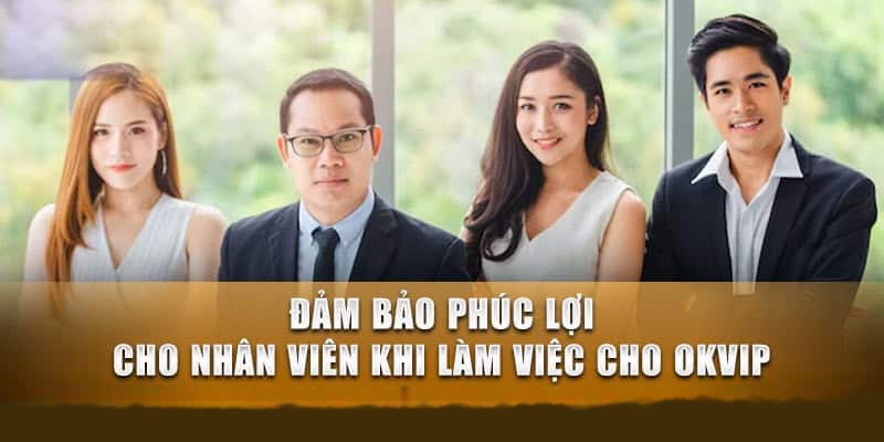 Thu nhập và các phúc lợi dành cho nhân viên SEO tại thương hiệu