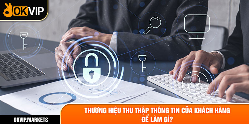 Thương hiệu thu thập thông tin của khách hàng để làm gì?