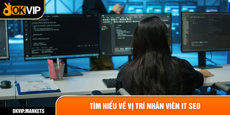 Tìm hiểu về vị trí nhân viên IT SEO