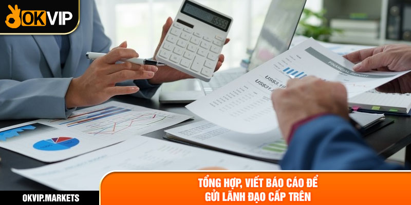 Tổng hợp, viết báo cáo để gửi lãnh đạo cấp trên